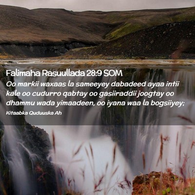 Picture 02 - Falimaha Rasuullada 28:9 SOM - Oo markii waxaas la sameeyey dabadeed ayaa intii - Bible Verse Picture