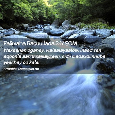 Picture 02 - Falimaha Rasuullada 3:17 SOM - Waxaanan ogahay, walaalayaalow, inaad tan - Bible Verse Picture