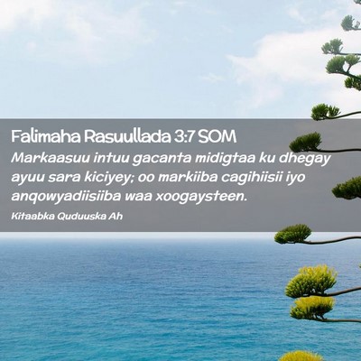 Picture 02 - Falimaha Rasuullada 3:7 SOM - Markaasuu intuu gacanta midigtaa ku dhegay ayuu - Bible Verse Picture