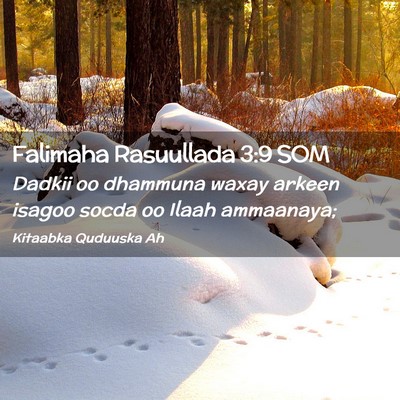 Picture 02 - Falimaha Rasuullada 3:9 SOM - Dadkii oo dhammuna waxay arkeen isagoo socda oo - Bible Verse Picture