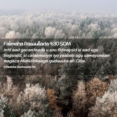 Picture 02 - Falimaha Rasuullada 4:30 SOM - intii aad gacantaada u soo fidinaysid si aad ugu - Bible Verse Picture