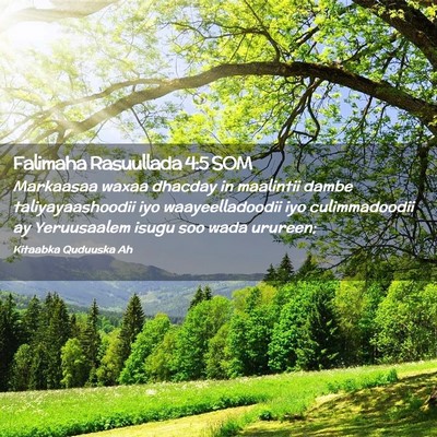 Picture 02 - Falimaha Rasuullada 4:5 SOM - Markaasaa waxaa dhacday in maalintii dambe - Bible Verse Picture