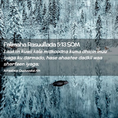 Picture 02 - Falimaha Rasuullada 5:13 SOM - Laakiin kuwii kale midkoodna kuma dhicin inuu - Bible Verse Picture
