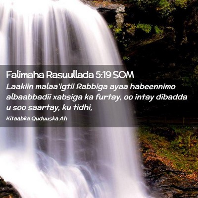 Picture 02 - Falimaha Rasuullada 5:19 SOM - Laakiin malaa'igtii Rabbiga ayaa habeennimo - Bible Verse Picture