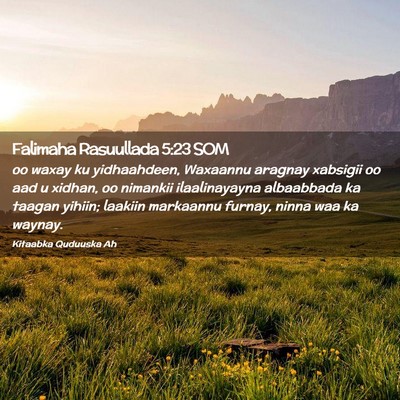 Picture 02 - Falimaha Rasuullada 5:23 SOM - oo waxay ku yidhaahdeen, Waxaannu aragnay - Bible Verse Picture