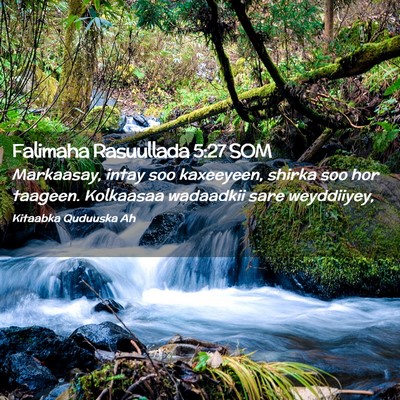 Picture 02 - Falimaha Rasuullada 5:27 SOM - Markaasay, intay soo kaxeeyeen, shirka soo hor - Bible Verse Picture