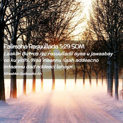Picture 02 - Falimaha Rasuullada 5:29 SOM - Laakiin Butros iyo rasuulladii ayaa u jawaabay oo - Bible Verse Picture