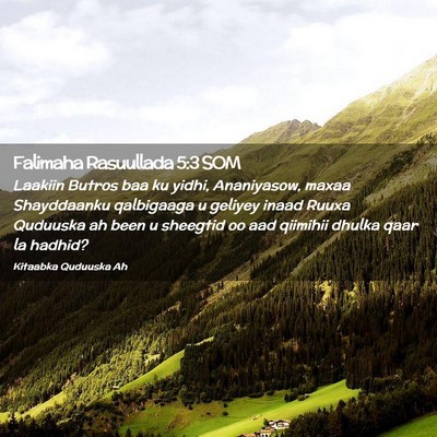 Picture 02 - Falimaha Rasuullada 5:3 SOM - Laakiin Butros baa ku yidhi, Ananiyasow, maxaa - Bible Verse Picture