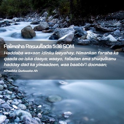 Picture 02 - Falimaha Rasuullada 5:38 SOM - Haddaba waxaan idinku leeyahay, Nimankan faraha - Bible Verse Picture