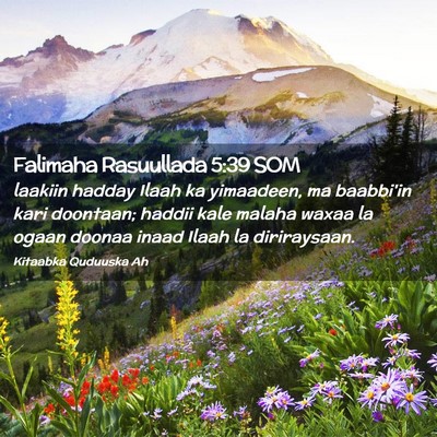 Picture 02 - Falimaha Rasuullada 5:39 SOM - laakiin hadday Ilaah ka yimaadeen, ma baabbi'in - Bible Verse Picture