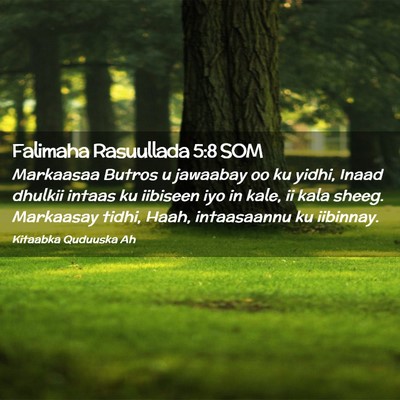Picture 02 - Falimaha Rasuullada 5:8 SOM - Markaasaa Butros u jawaabay oo ku yidhi, Inaad - Bible Verse Picture