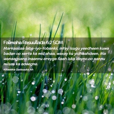 Picture 02 - Falimaha Rasuullada 6:2 SOM - Markaasaa laba-iyo-tobankii, intay isugu yeedheen - Bible Verse Picture