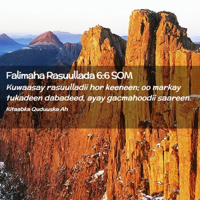 Picture 02 - Falimaha Rasuullada 6:6 SOM - Kuwaasay rasuulladii hor keeneen; oo markay - Bible Verse Picture