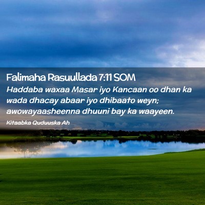 Picture 02 - Falimaha Rasuullada 7:11 SOM - Haddaba waxaa Masar iyo Kancaan oo dhan ka wada - Bible Verse Picture