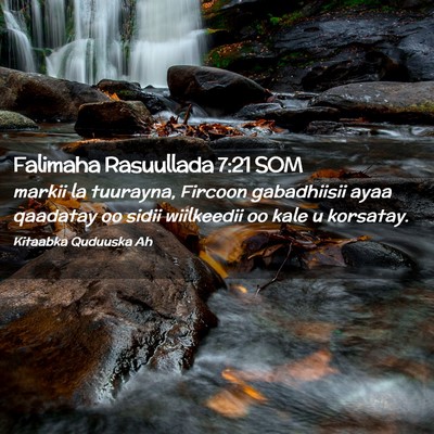 Picture 02 - Falimaha Rasuullada 7:21 SOM - markii la tuurayna, Fircoon gabadhiisii ayaa - Bible Verse Picture