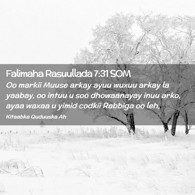 Picture 02 - Falimaha Rasuullada 7:31 SOM - Oo markii Muuse arkay ayuu wuxuu arkay la yaabay, - Bible Verse Picture