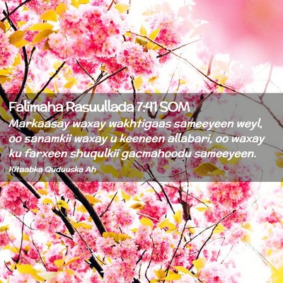 Picture 02 - Falimaha Rasuullada 7:41 SOM - Markaasay waxay wakhtigaas sameeyeen weyl, oo - Bible Verse Picture