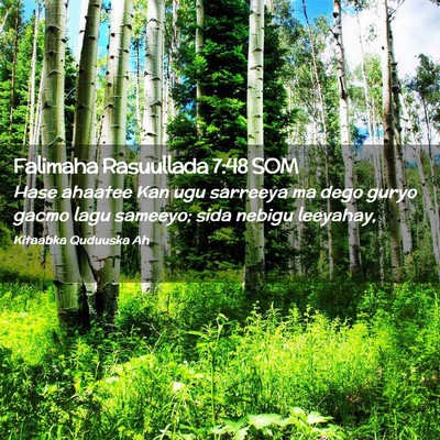 Picture 02 - Falimaha Rasuullada 7:48 SOM - Hase ahaatee Kan ugu sarreeya ma dego guryo gacmo - Bible Verse Picture