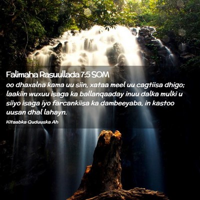 Picture 02 - Falimaha Rasuullada 7:5 SOM - oo dhaxalna kama uu siin, xataa meel uu cagtiisa - Bible Verse Picture
