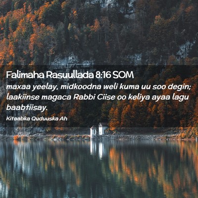 Picture 02 - Falimaha Rasuullada 8:16 SOM - maxaa yeelay, midkoodna weli kuma uu soo degin; - Bible Verse Picture