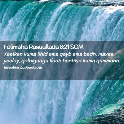 Picture 02 - Falimaha Rasuullada 8:21 SOM - Xaalkan kuma lihid ama qayb ama badh; maxaa - Bible Verse Picture