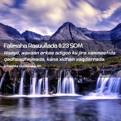 Picture 02 - Falimaha Rasuullada 8:23 SOM - Waayo, waxaan arkaa adigoo ku jira xammeetida - Bible Verse Picture