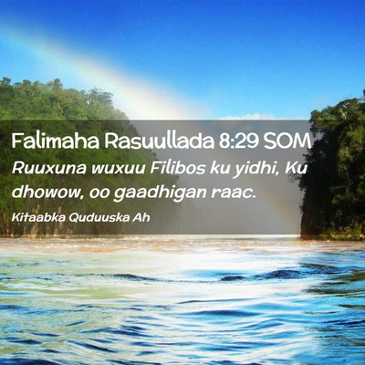 Picture 02 - Falimaha Rasuullada 8:29 SOM - Ruuxuna wuxuu Filibos ku yidhi, Ku dhowow, oo - Bible Verse Picture