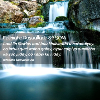 Picture 02 - Falimaha Rasuullada 8:3 SOM - Laakiin Sawlos aad buu kiniisadda u rafaadiyey, - Bible Verse Picture