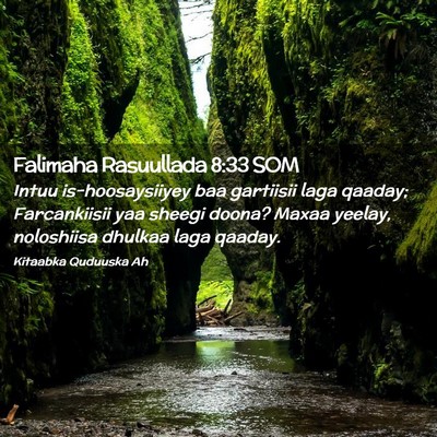 Picture 02 - Falimaha Rasuullada 8:33 SOM - Intuu is-hoosaysiiyey baa gartiisii laga qaaday; - Bible Verse Picture