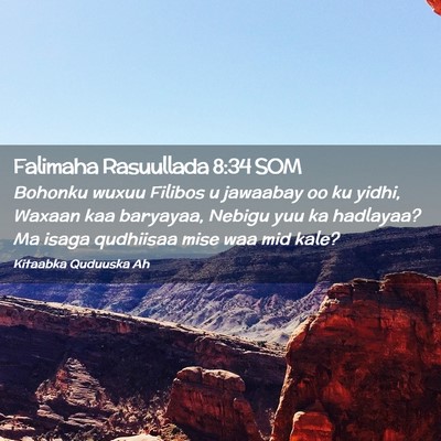 Picture 02 - Falimaha Rasuullada 8:34 SOM - Bohonku wuxuu Filibos u jawaabay oo ku yidhi, - Bible Verse Picture
