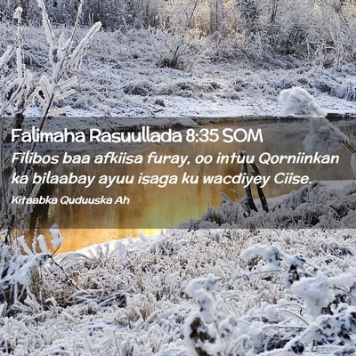 Picture 02 - Falimaha Rasuullada 8:35 SOM - Filibos baa afkiisa furay, oo intuu Qorniinkan ka - Bible Verse Picture