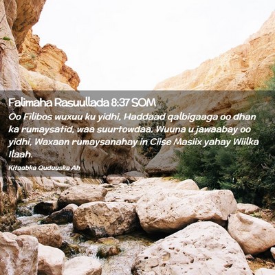 Picture 02 - Falimaha Rasuullada 8:37 SOM - Oo Filibos wuxuu ku yidhi, Haddaad qalbigaaga oo - Bible Verse Picture