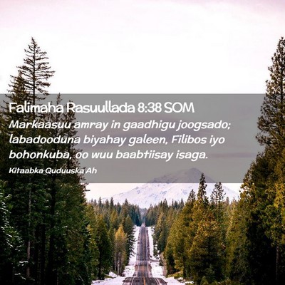 Picture 02 - Falimaha Rasuullada 8:38 SOM - Markaasuu amray in gaadhigu joogsado; labadooduna - Bible Verse Picture