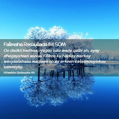 Picture 02 - Falimaha Rasuullada 8:6 SOM - Oo dadkii badnaa, iyagoo isku wada qalbi ah, ayay - Bible Verse Picture