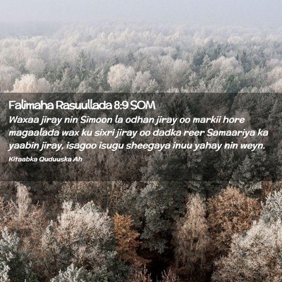 Picture 02 - Falimaha Rasuullada 8:9 SOM - Waxaa jiray nin Simoon la odhan jiray oo markii - Bible Verse Picture
