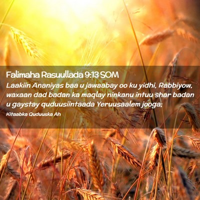 Picture 02 - Falimaha Rasuullada 9:13 SOM - Laakiin Ananiyas baa u jawaabay oo ku yidhi, - Bible Verse Picture