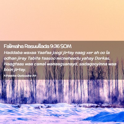 Picture 02 - Falimaha Rasuullada 9:36 SOM - Haddaba waxaa Yaafaa joogi jirtay naag xer ah oo - Bible Verse Picture