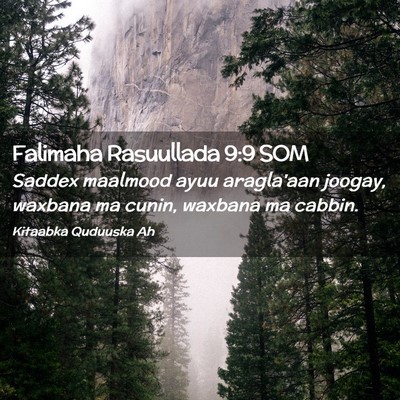 Picture 02 - Falimaha Rasuullada 9:9 SOM - Saddex maalmood ayuu aragla'aan joogay, waxbana - Bible Verse Picture