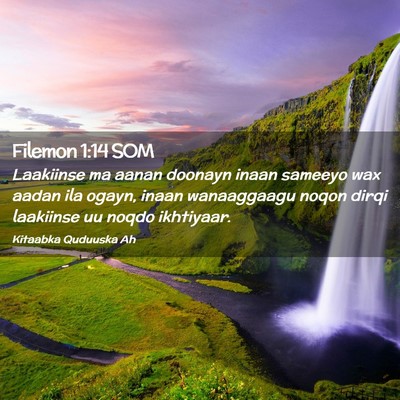 Picture 02 - Filemon 1:14 SOM - Laakiinse ma aanan doonayn inaan sameeyo wax - Bible Verse Picture