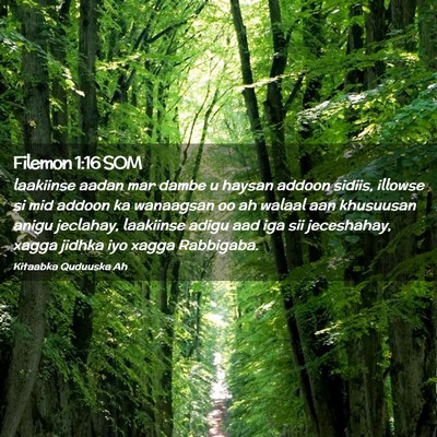 Picture 02 - Filemon 1:16 SOM - laakiinse aadan mar dambe u haysan addoon sidiis, - Bible Verse Picture