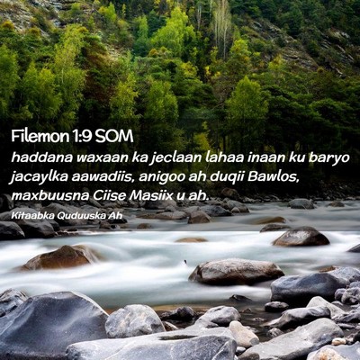Picture 02 - Filemon 1:9 SOM - haddana waxaan ka jeclaan lahaa inaan ku baryo - Bible Verse Picture