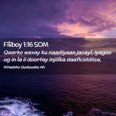 Picture 02 - Filiboy 1:16 SOM - Qaarko waxay ku naadiyaan jacayl, iyagoo og in la - Bible Verse Picture