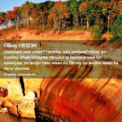 Picture 02 - Filiboy 1:18 SOM - Haddaba waa sidee? Hadday iska yeelyeel tahay iyo - Bible Verse Picture