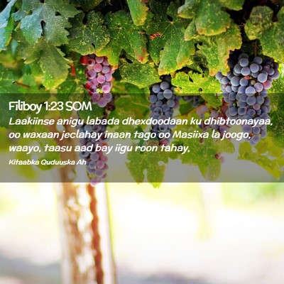 Picture 02 - Filiboy 1:23 SOM - Laakiinse anigu labada dhexdoodaan ku - Bible Verse Picture