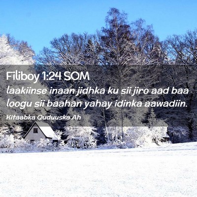 Picture 02 - Filiboy 1:24 SOM - laakiinse inaan jidhka ku sii jiro aad baa loogu - Bible Verse Picture