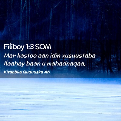 Picture 02 - Filiboy 1:3 SOM - Mar kastoo aan idin xusuustaba Ilaahay baan u - Bible Verse Picture