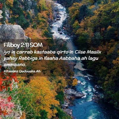 Picture 02 - Filiboy 2:11 SOM - iyo in carrab kastaaba qirto in Ciise Masiix - Bible Verse Picture