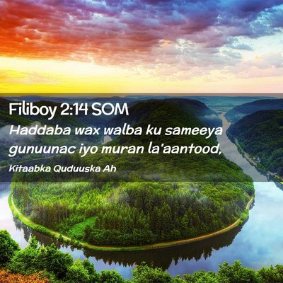 Picture 02 - Filiboy 2:14 SOM - Haddaba wax walba ku sameeya gunuunac iyo muran - Bible Verse Picture