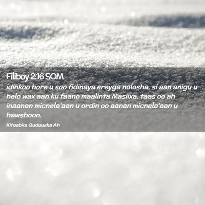 Picture 02 - Filiboy 2:16 SOM - idinkoo hore u soo fidinaya ereyga nolosha, si - Bible Verse Picture