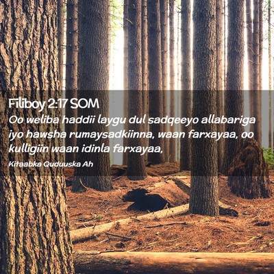 Picture 02 - Filiboy 2:17 SOM - Oo weliba haddii laygu dul sadqeeyo allabariga - Bible Verse Picture